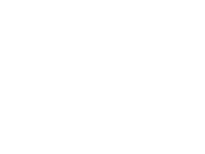 PGSLogowWhite
