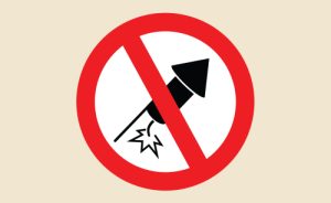 Fireworks (Fun Snaps)